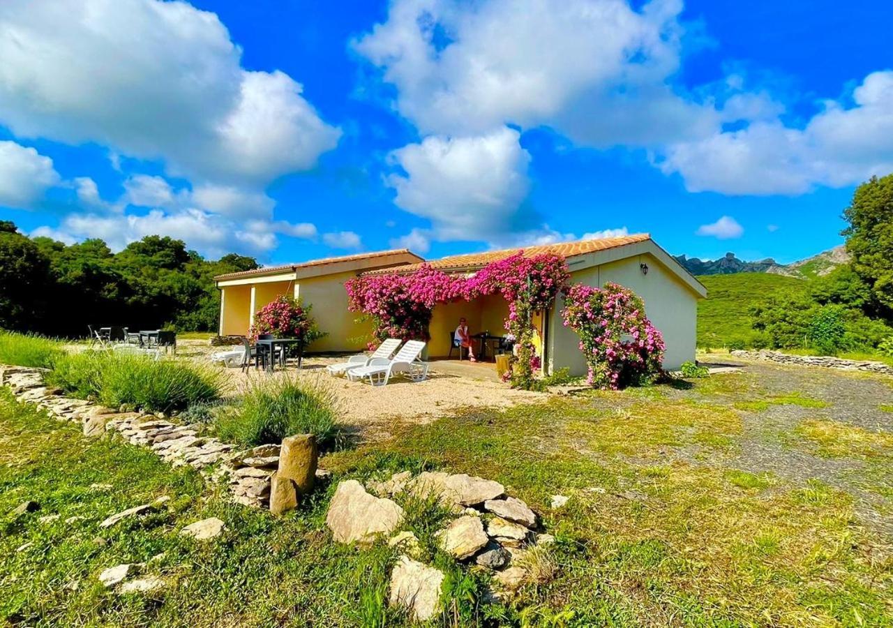 Villa Agriturismo La Cresta Arbus Exterior foto